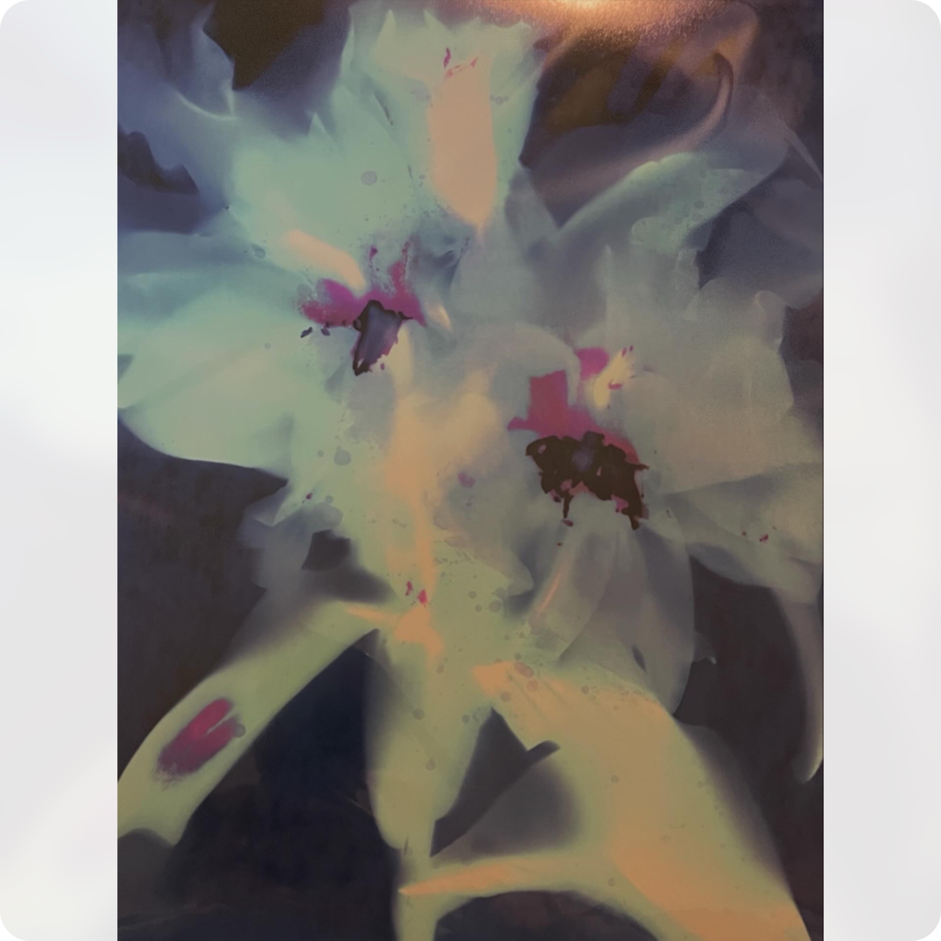 Lily of Nova 8”x10”