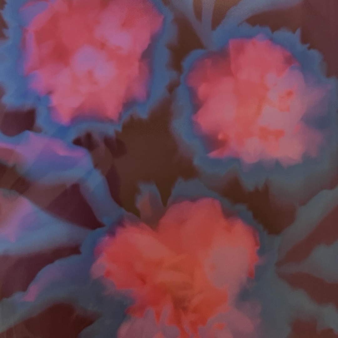 Hopeful Peaonies