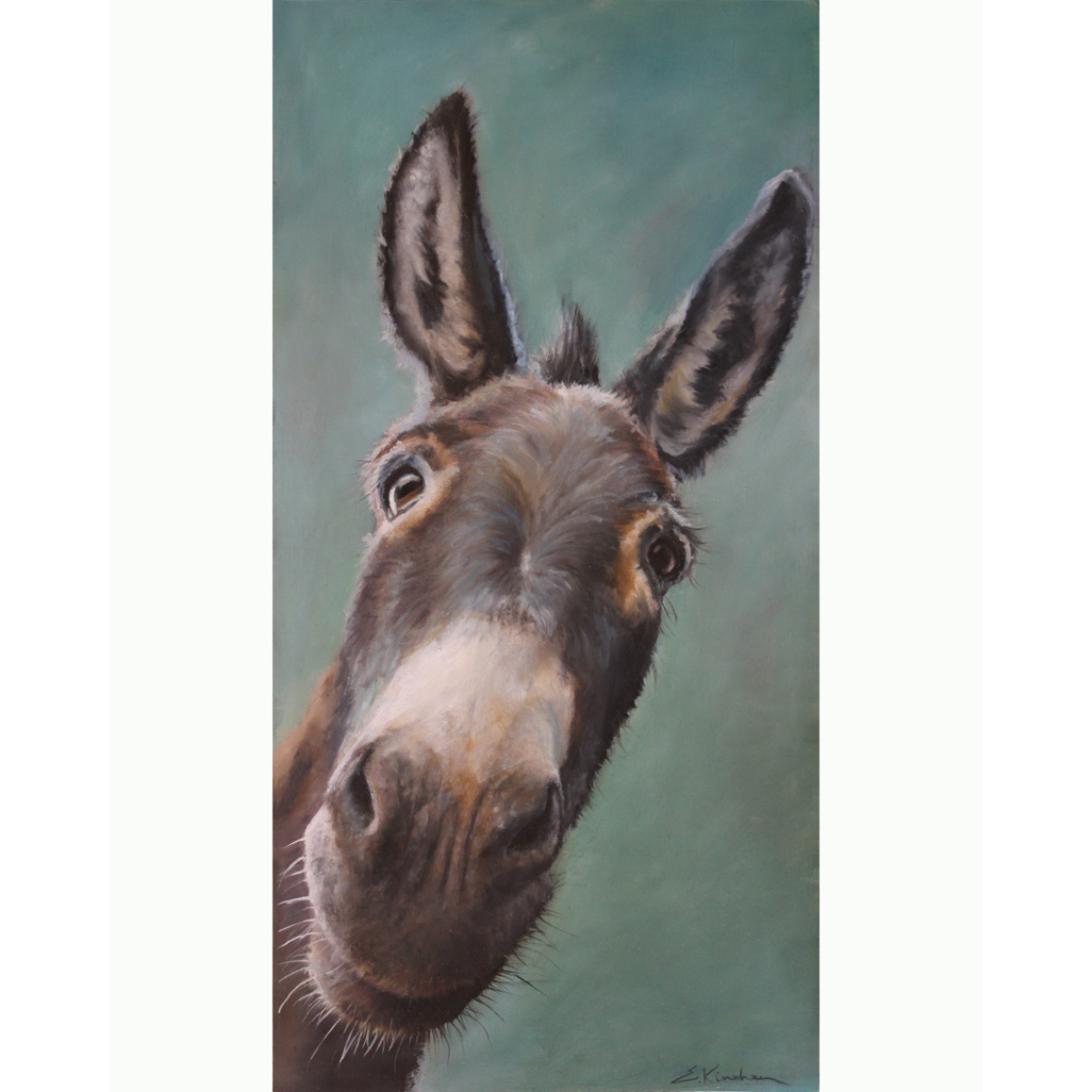 Pistol the Donkey canvas print