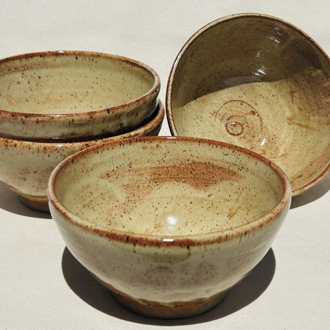 Shino Salad/Dinner Bowl Set (4)
