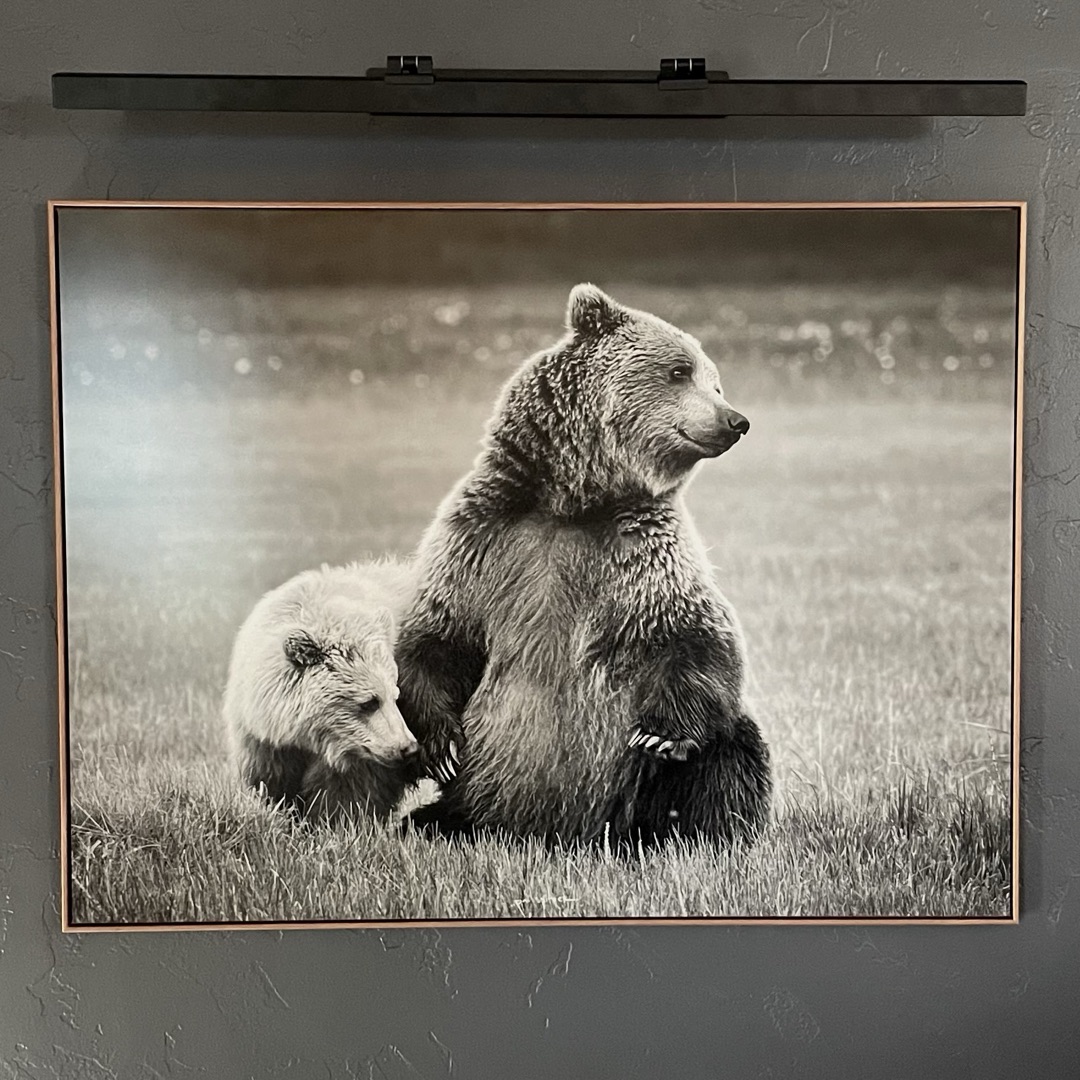 Coastal Brown Bear Mother and Cub Black and White - image 1